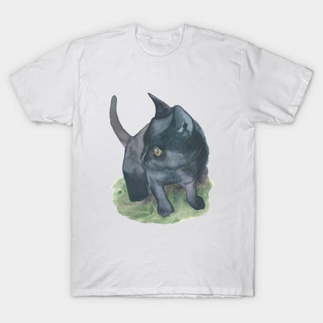 Black kitten T-Shirt by Sharon Rose Art